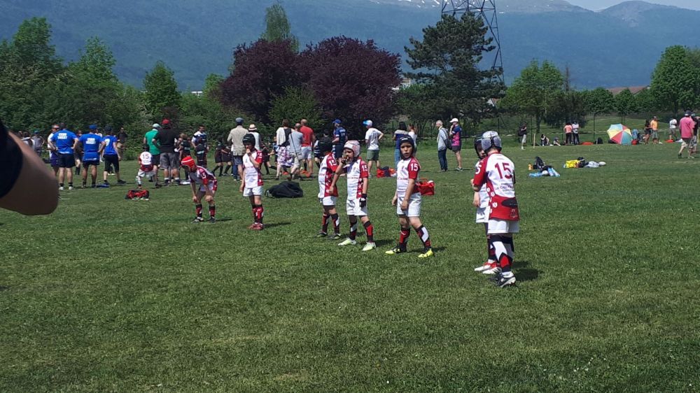 880350d3-aacf-499d-a29f-2b6b11a0404a